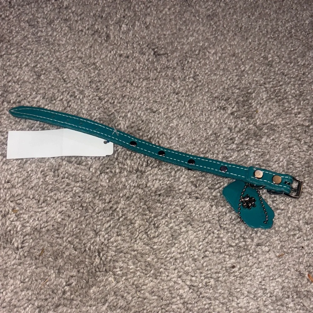 New Omni Pet Leather Teal Dog Collar with Paw Charm xs/s